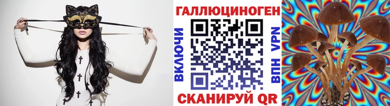Купить  Глазов  Псилоцибиновые грибы Magic Shrooms 